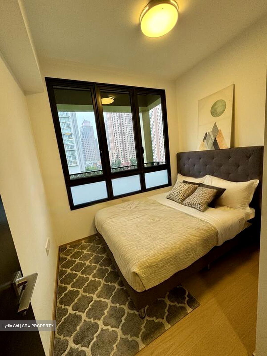Irwell Hill Residences (D9), Apartment #458830971